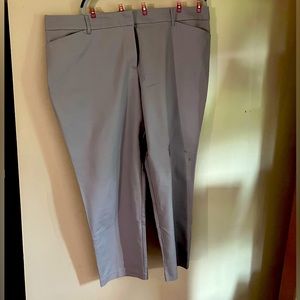Career pants
